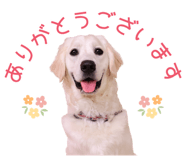 885694585