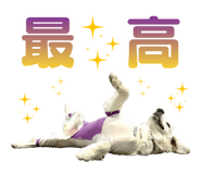 885694588