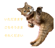 885695078