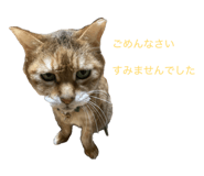 885695081