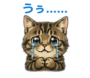 885696244