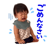 885696685