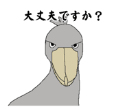 885696834