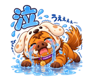 885697072