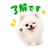 885698116