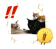 885698673