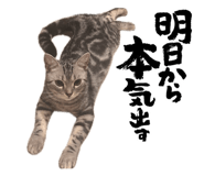 885698728