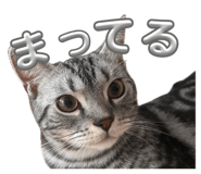 885698733