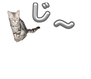 885698738
