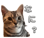 885698740