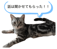 885698742