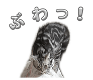 885698747