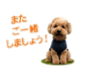 885698830