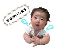885698843