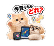 885698862