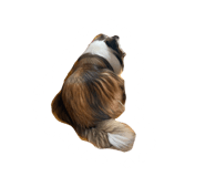 885698970