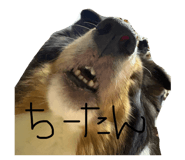 885698972