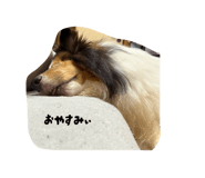 885698979