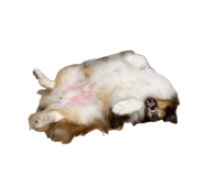 885698981