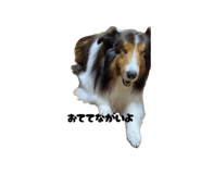 885698982