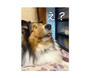 885698996