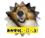 885699000