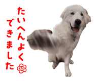 885699410