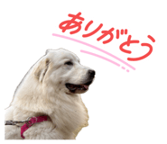 885699414