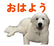 885699415
