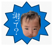 885699446