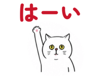 885699572