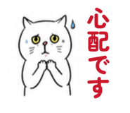 885699587