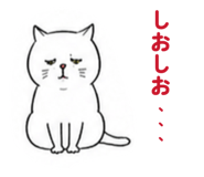 885699589