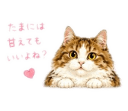 885699606