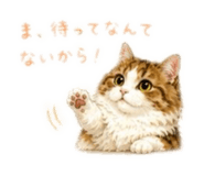 885699607