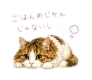 885699612