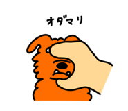 885700492