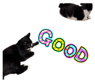 885700508