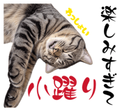 885701240