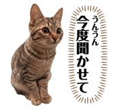 885701246