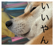 885702489