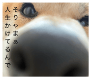 885702494