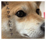 885702498