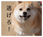 885702502
