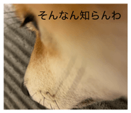 885702504