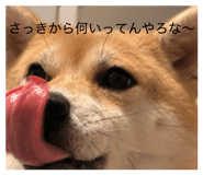885702505