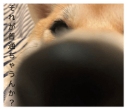 885702506