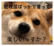 885702508
