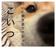 885702509