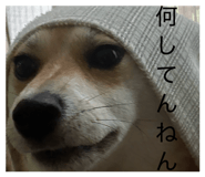 885702513